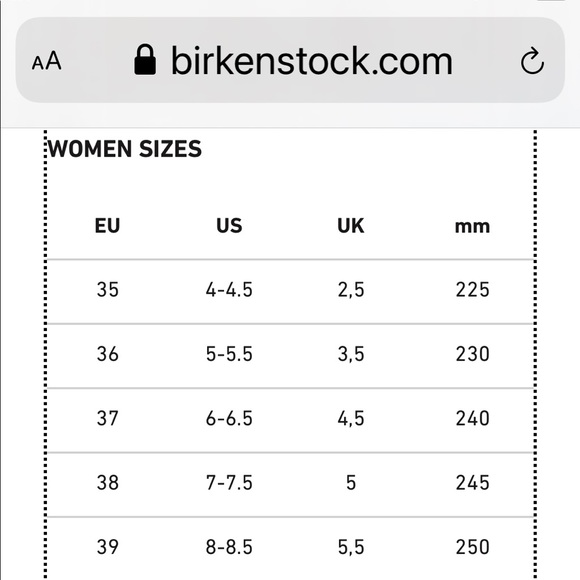 The BIRKENSTOCK Gizeh Thong Sandal Bronze Size 4 - Picture 16 of 16